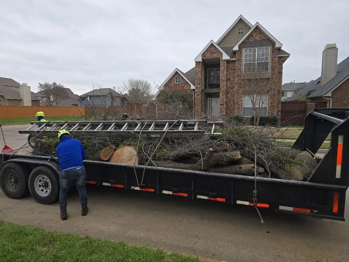 Expert Lot Clearing with proper safety equipment in Briscoe